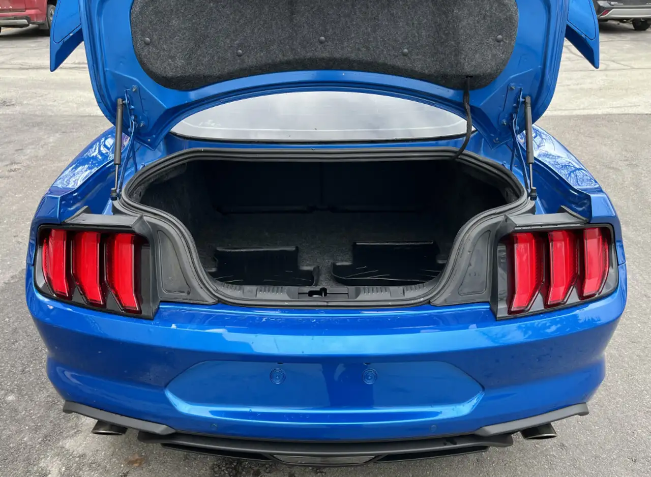 Ford Mustang снимка Ford Mustang