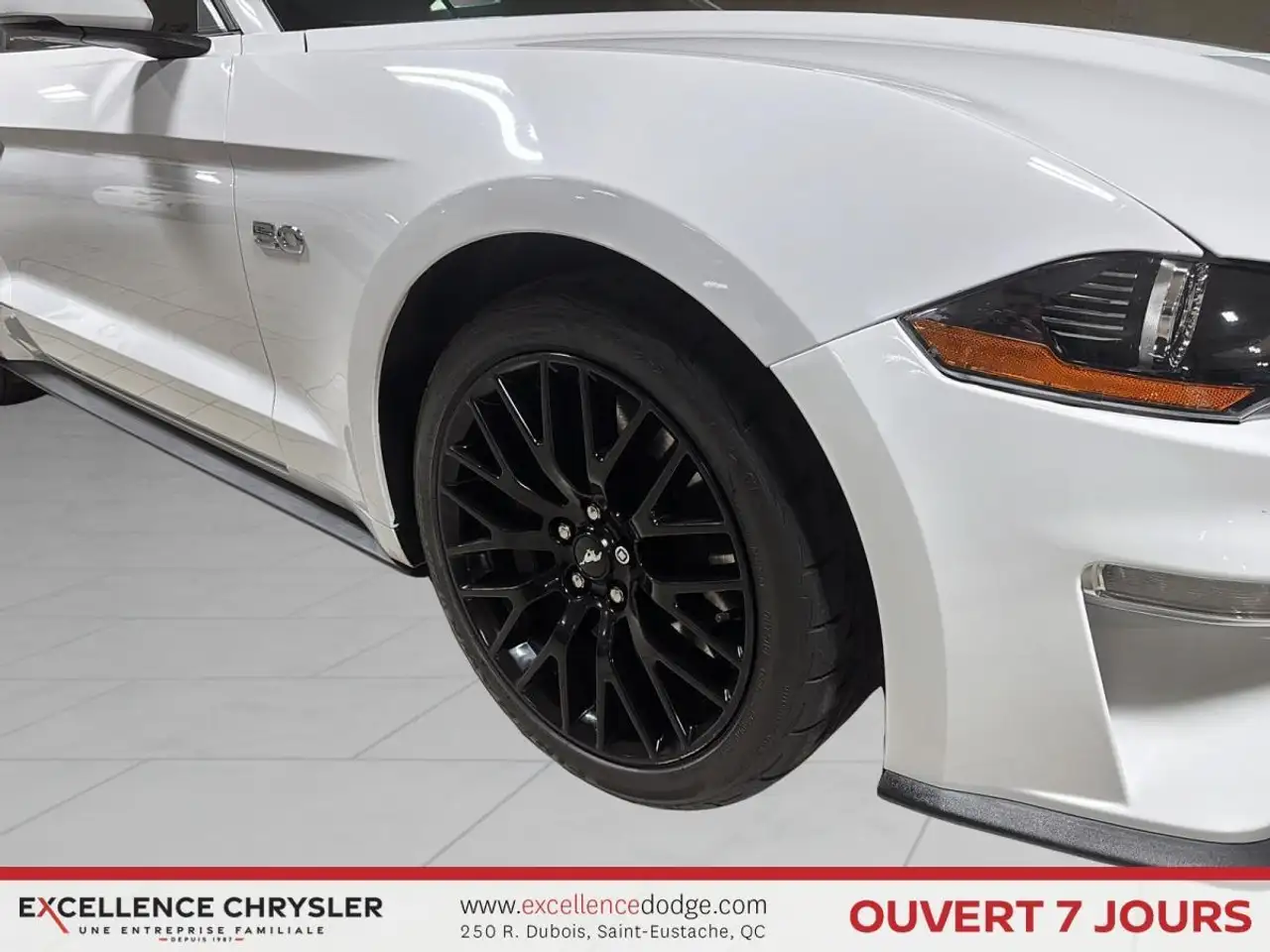 Ford Mustang photo Ford Mustang