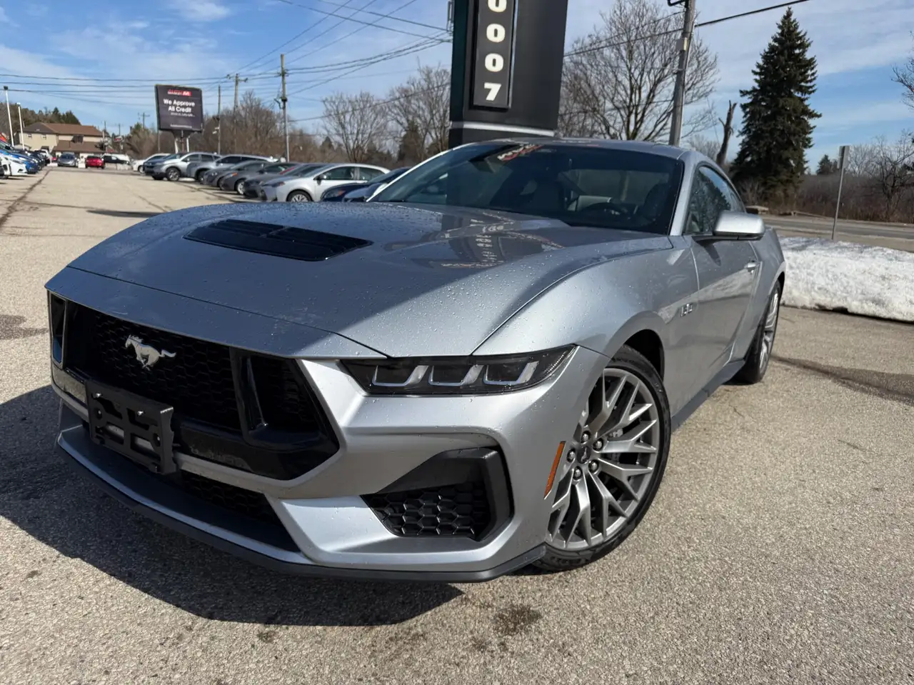 Ford Mustang fotografie Ford Mustang