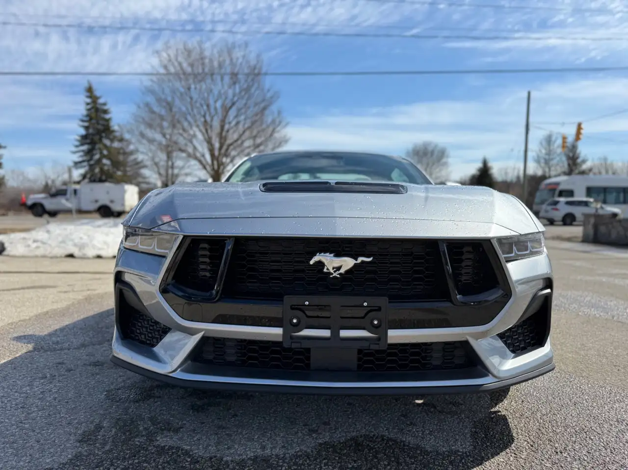 Ford Mustang fotografie Ford Mustang