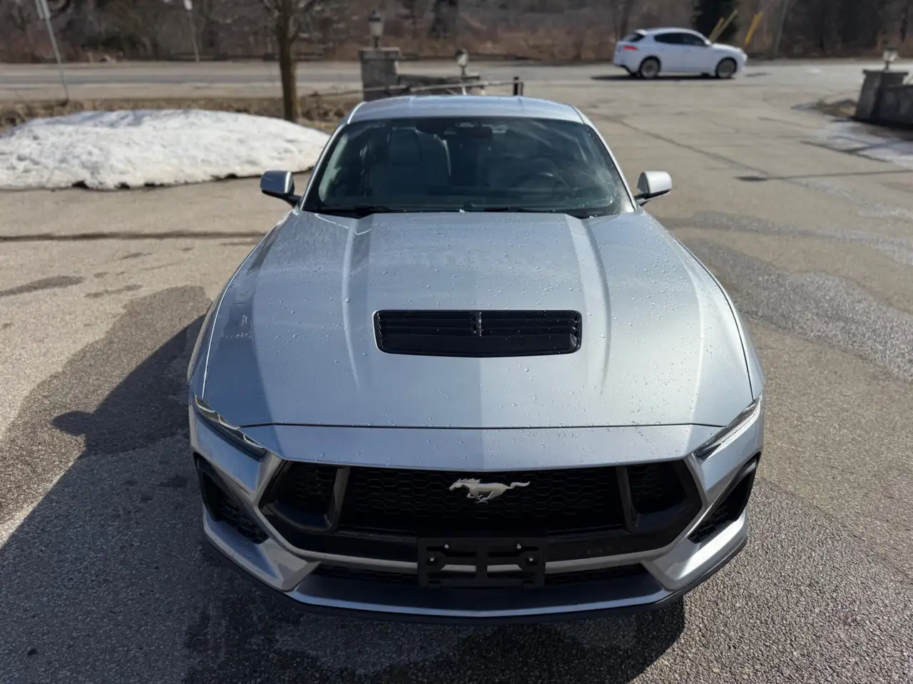 Ford Mustang fotografie Ford Mustang