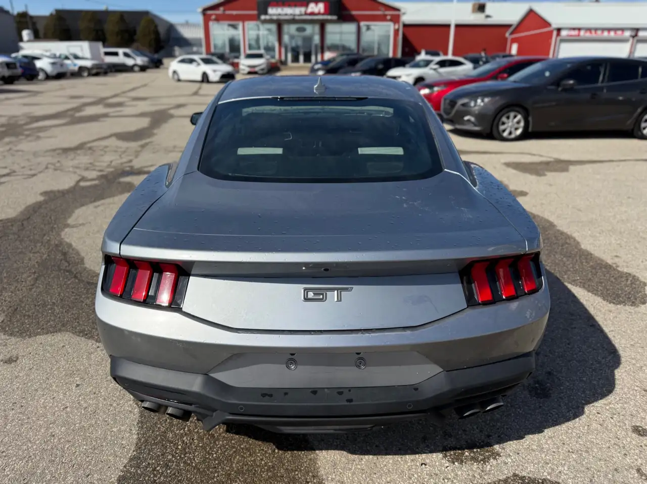 Ford Mustang fotografie Ford Mustang