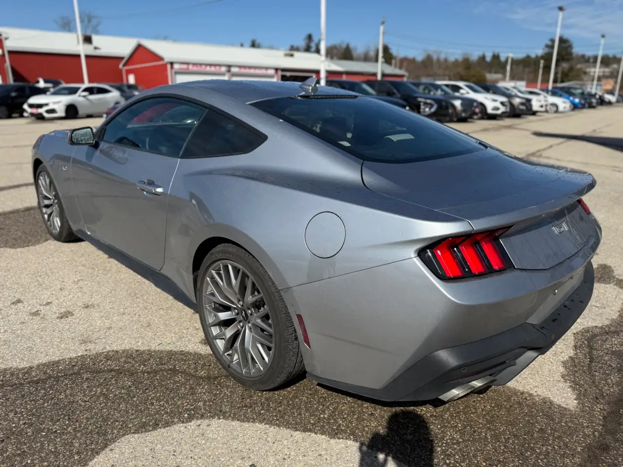 Ford Mustang fotografie Ford Mustang