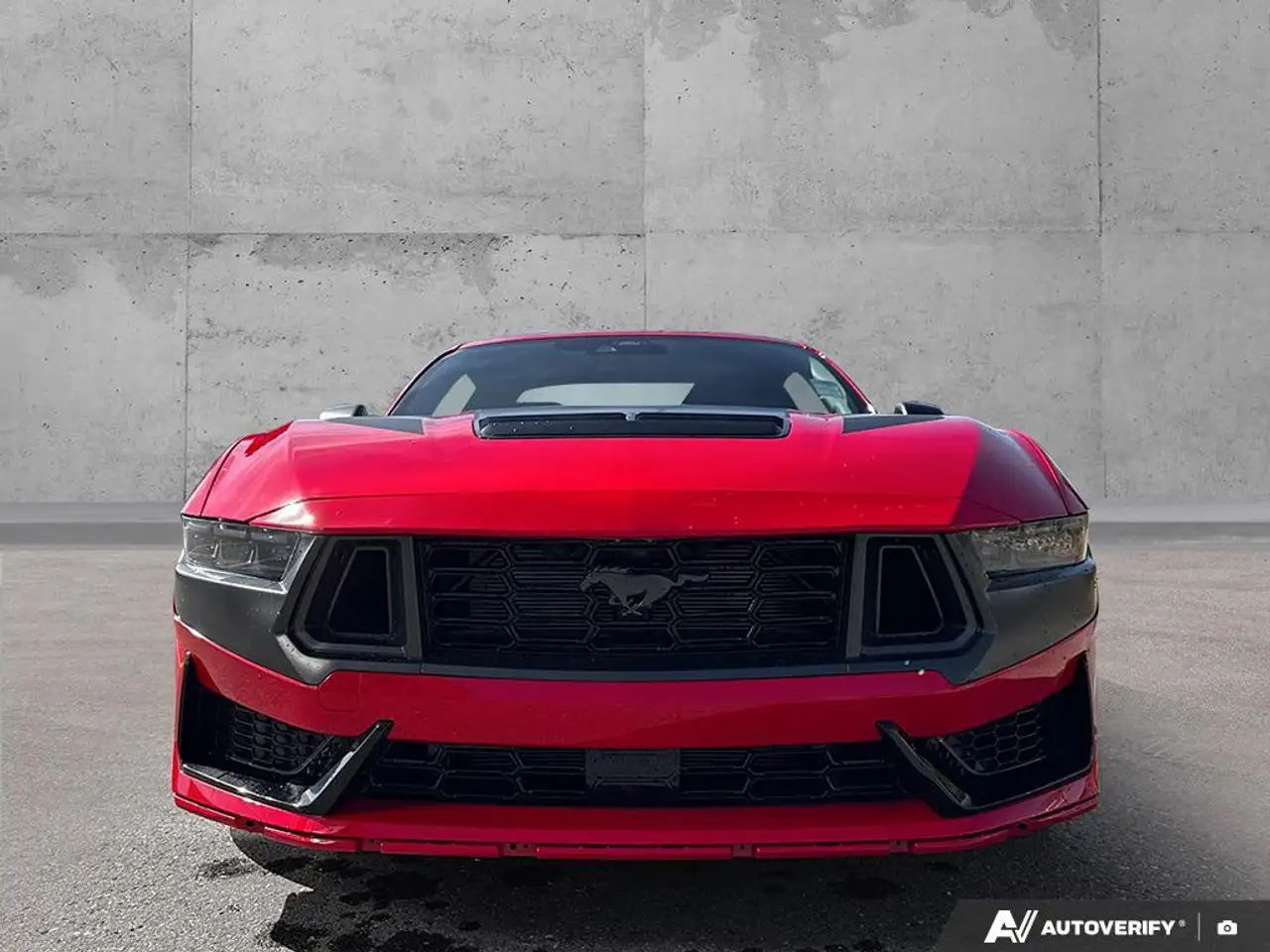 Ford Mustang photo Ford Mustang