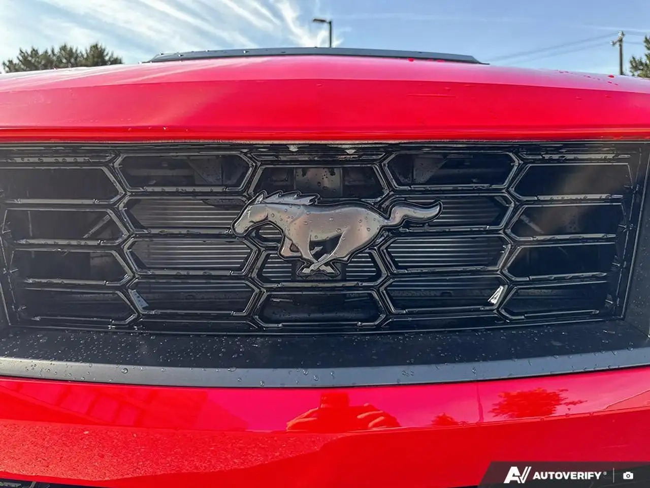 Ford Mustang photo Ford Mustang