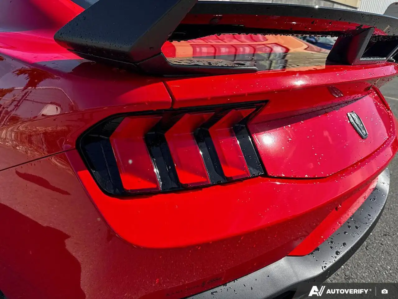 Ford Mustang photo Ford Mustang