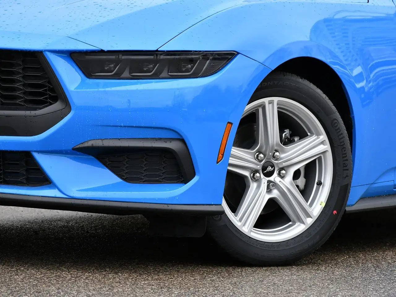 Ford Mustang снимка Ford Mustang