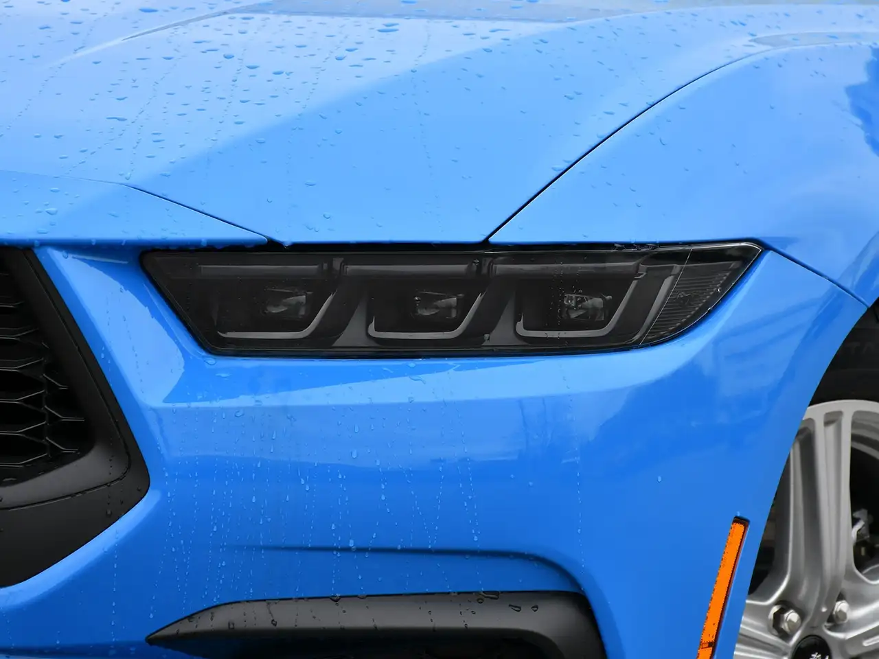 Ford Mustang снимка Ford Mustang