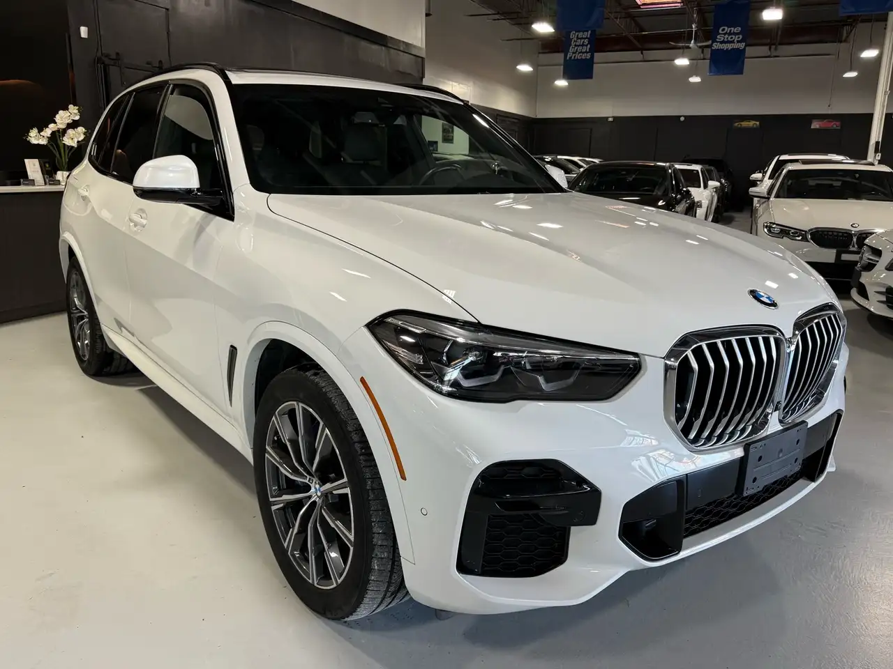 BMW X5 fotografie BMW X5