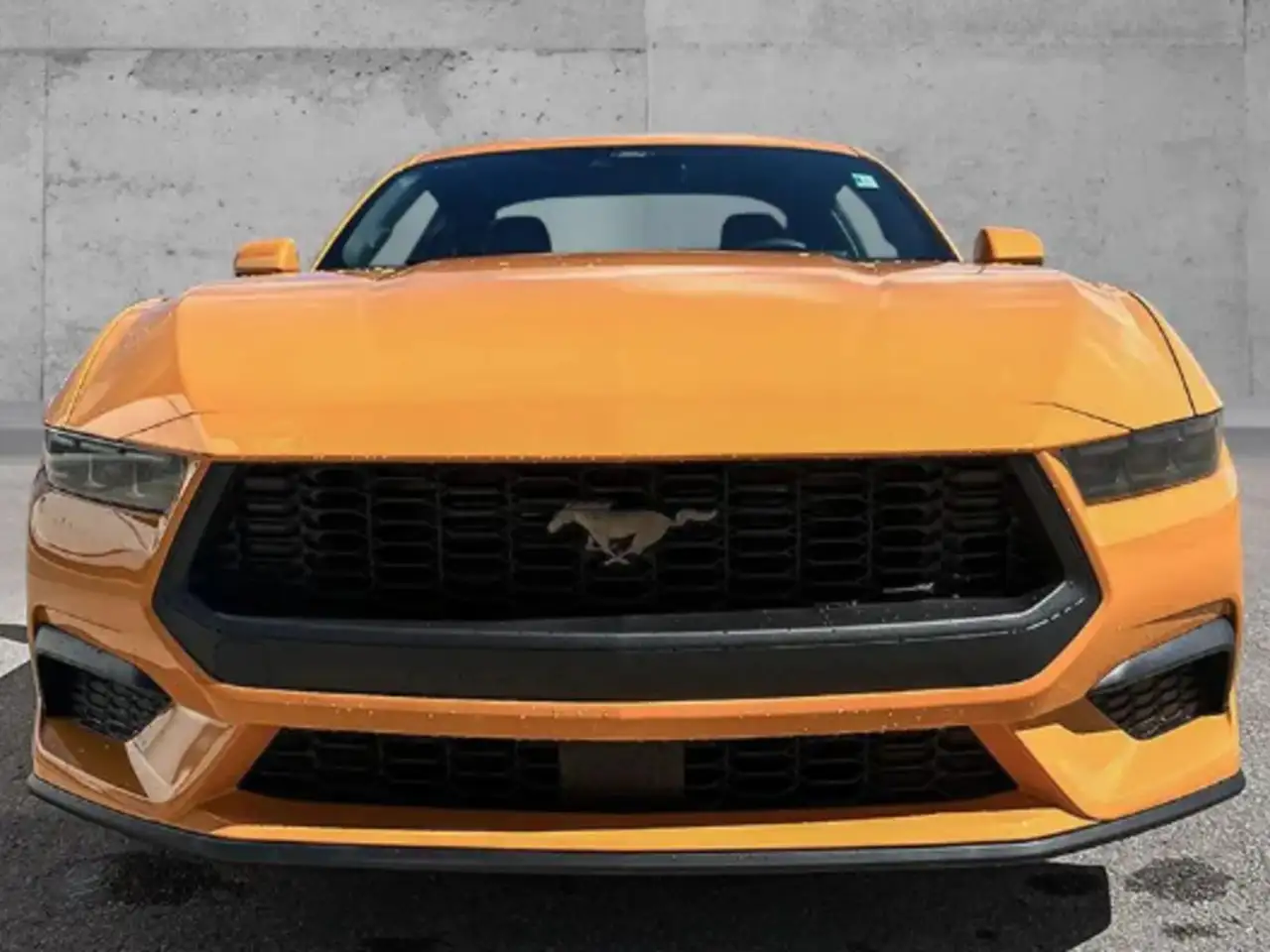 Ford Mustang photo Ford Mustang