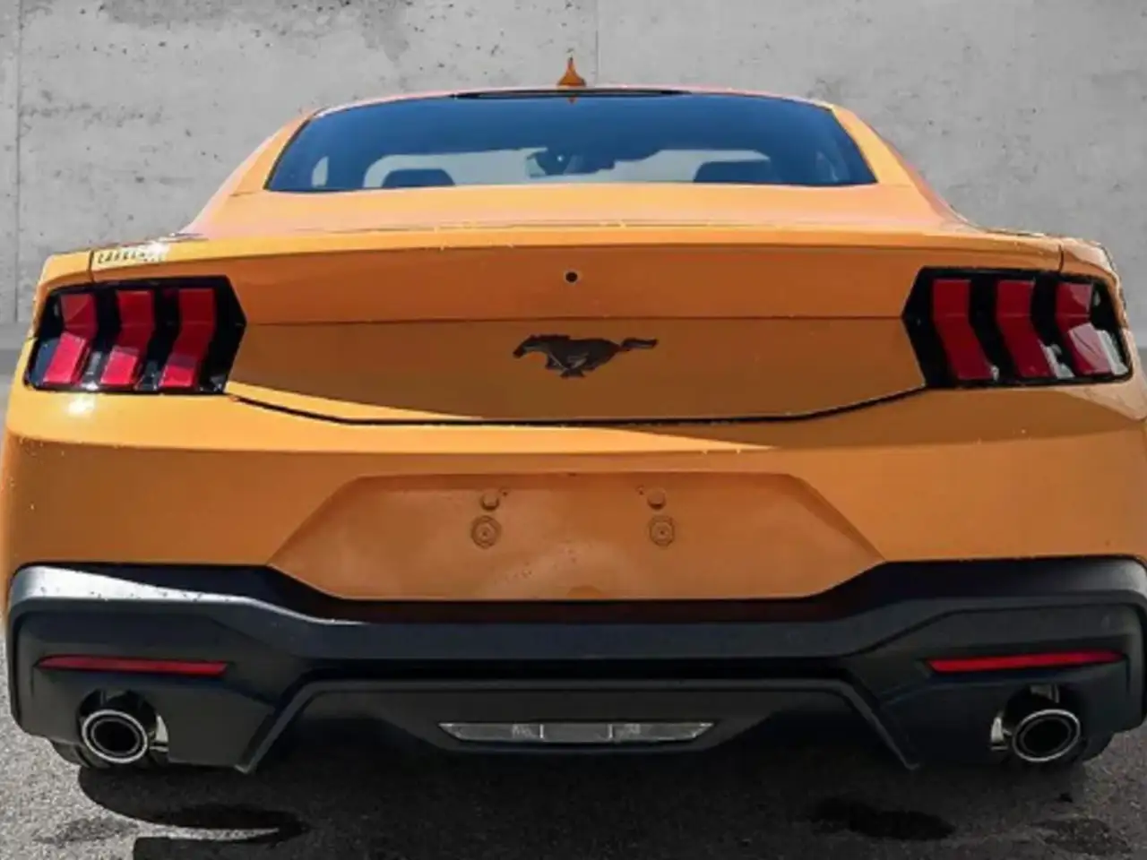 Ford Mustang photo Ford Mustang