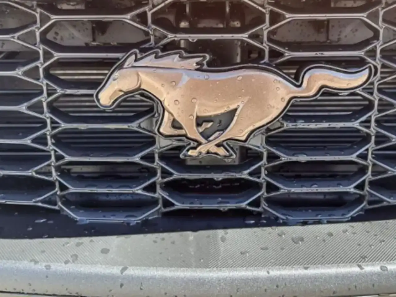 Ford Mustang photo Ford Mustang