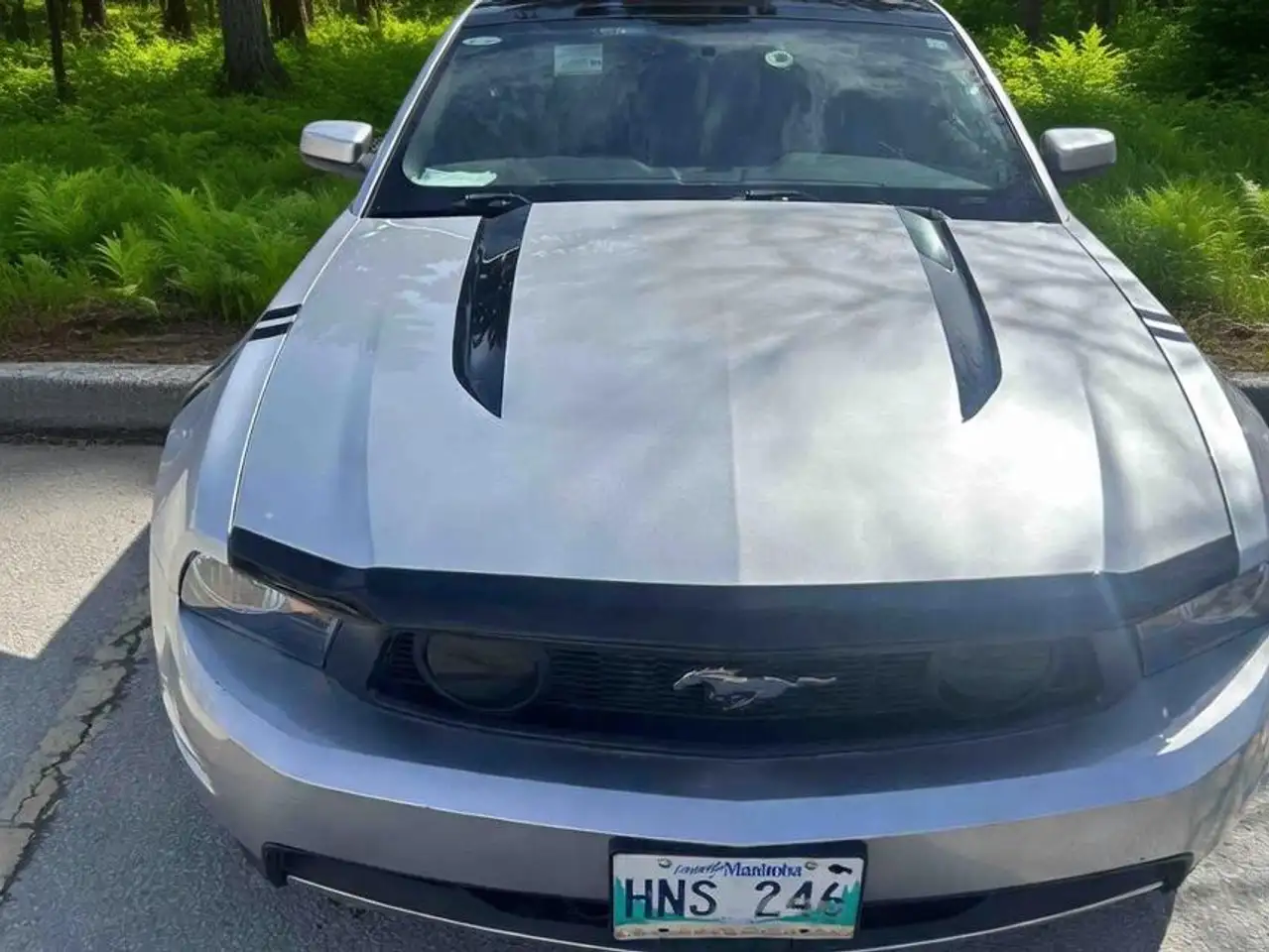 Ford Mustang photo Ford Mustang