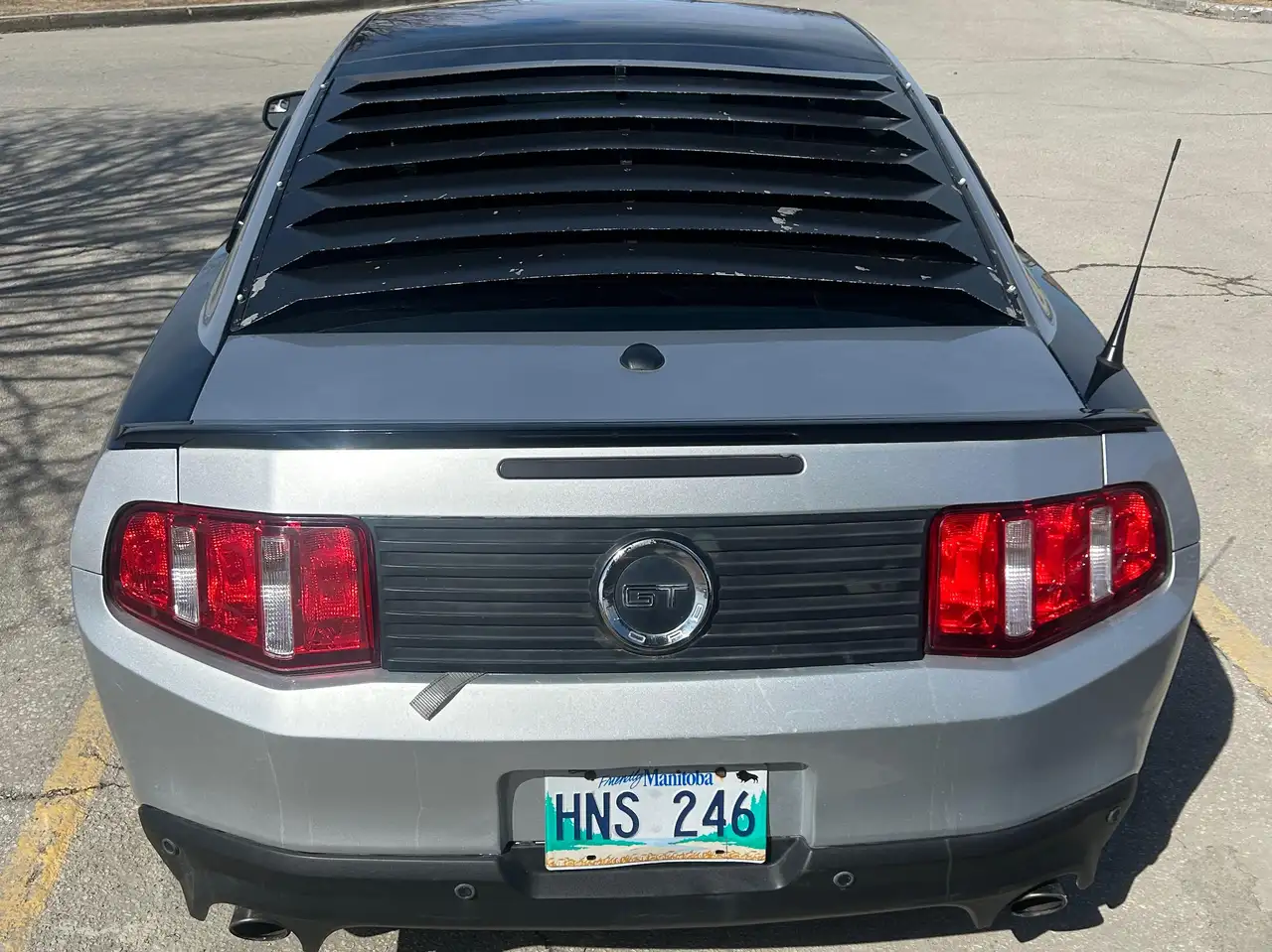 Ford Mustang photo Ford Mustang