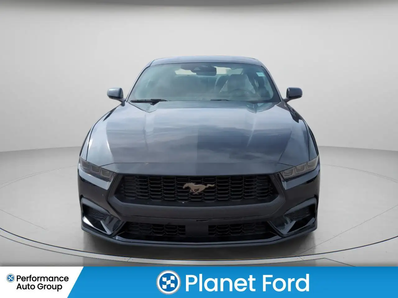 Ford Mustang fotografie Ford Mustang