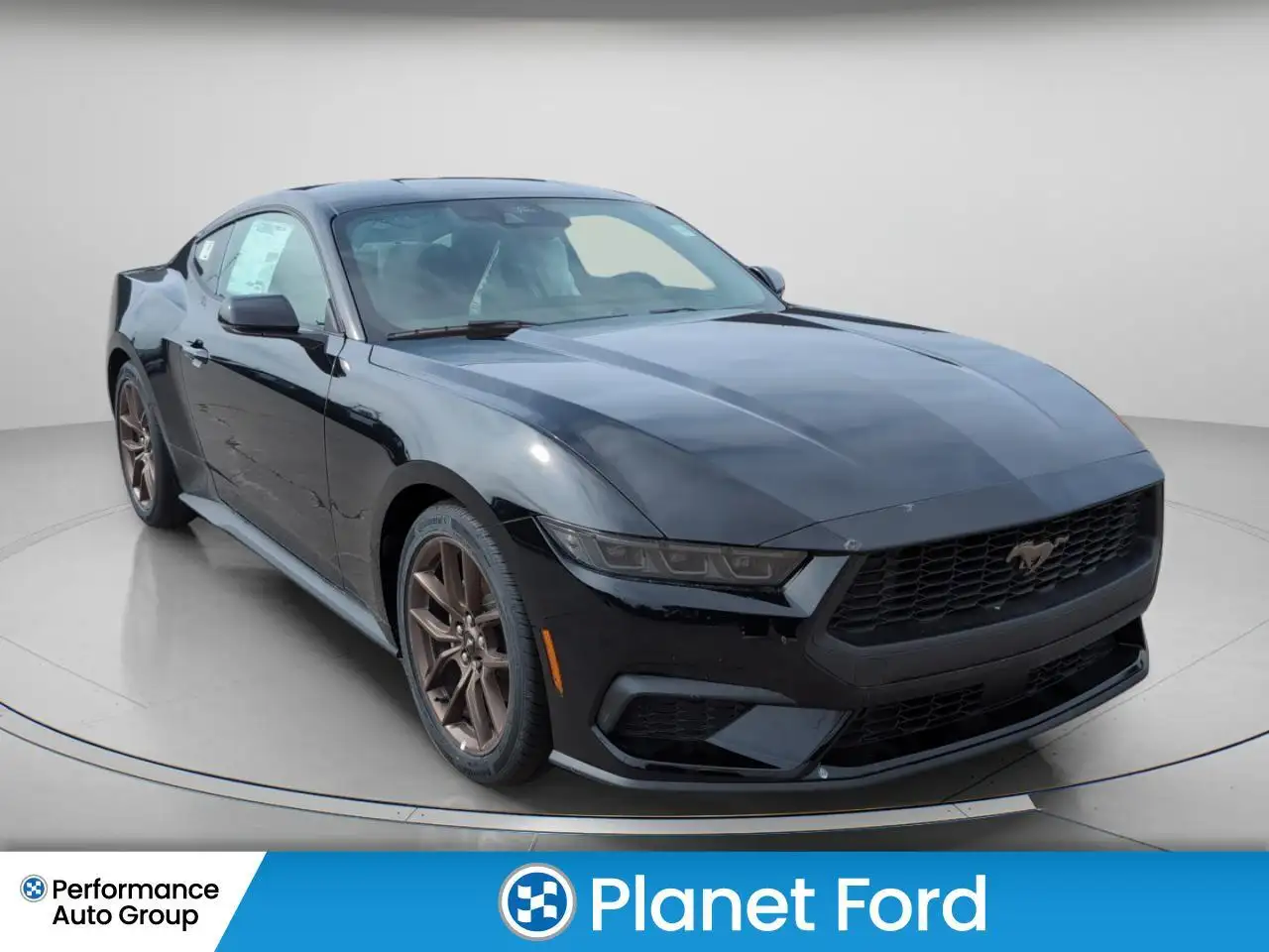 Ford Mustang fotografie Ford Mustang