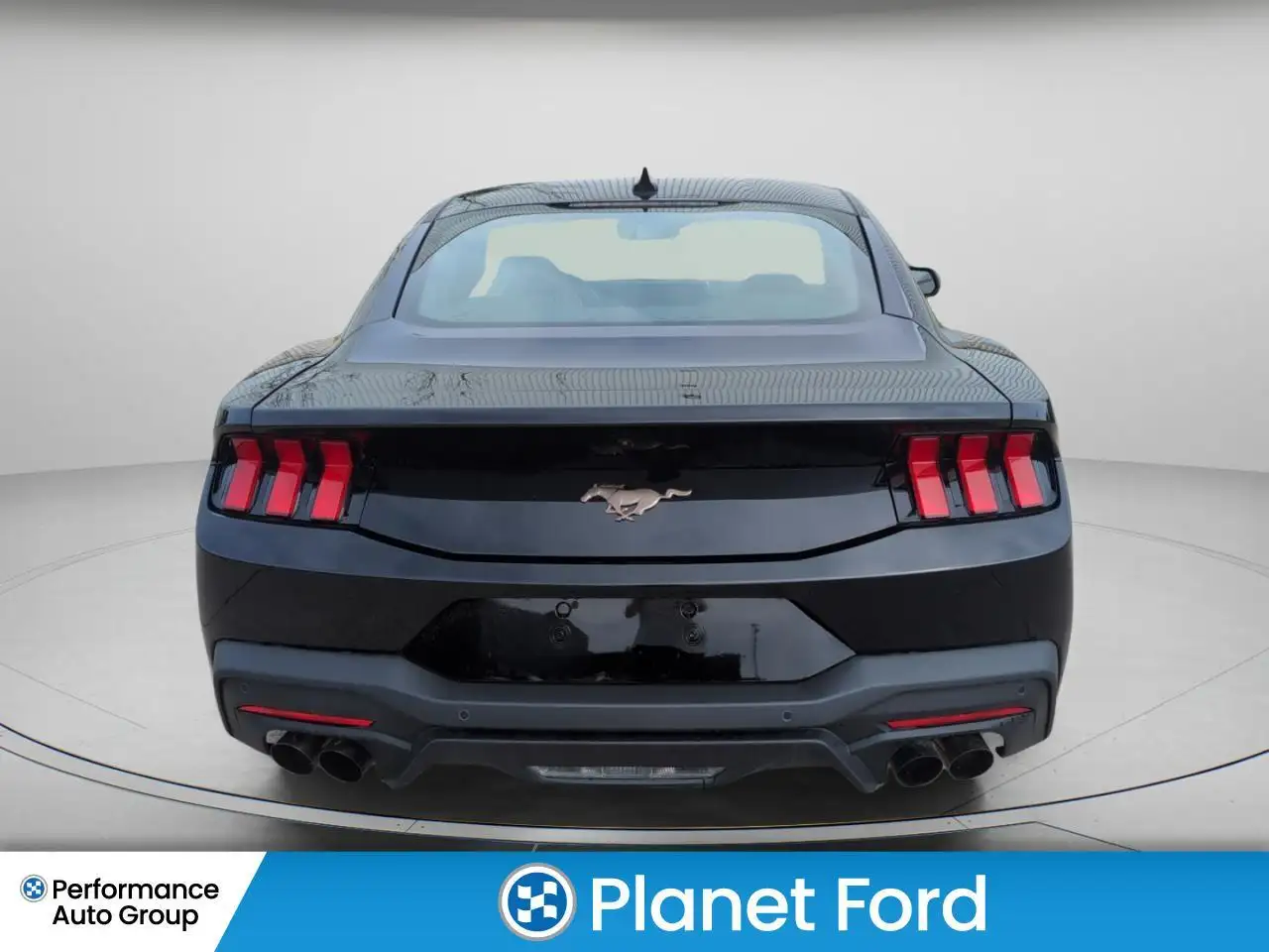 Ford Mustang fotografie Ford Mustang