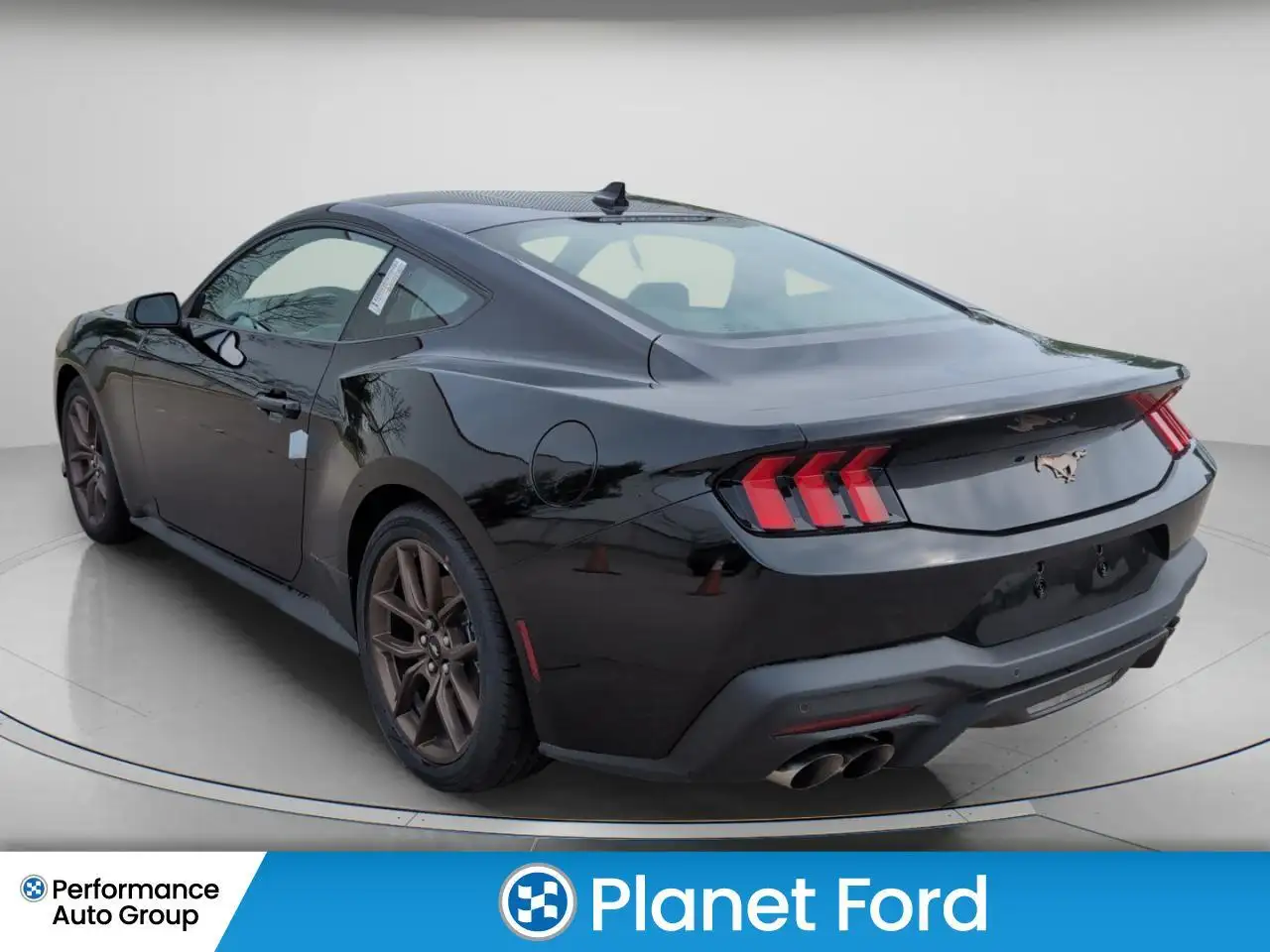 Ford Mustang fotografie Ford Mustang