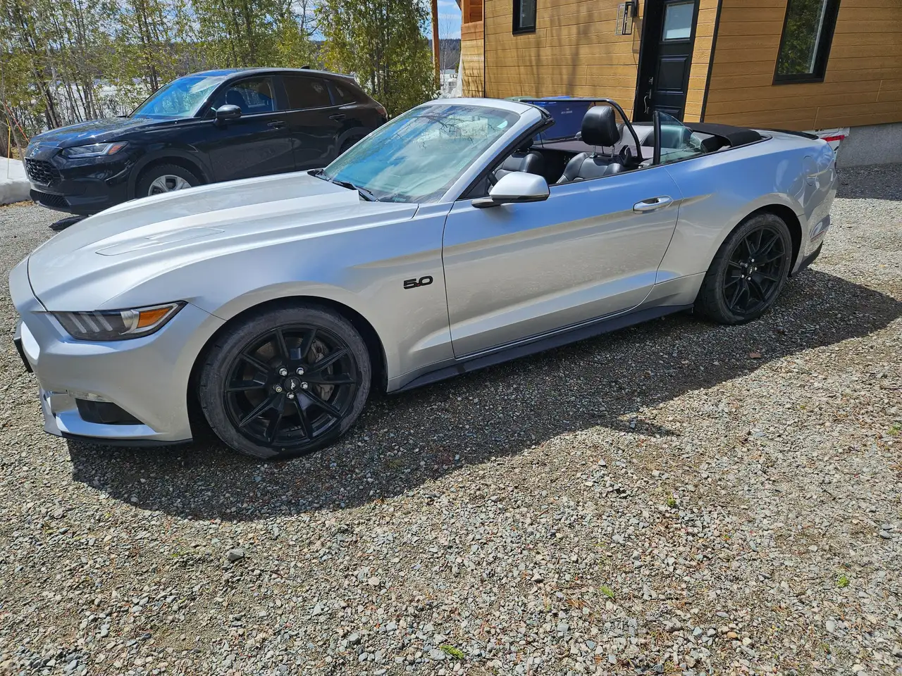 Ford Mustang fotografie Ford Mustang