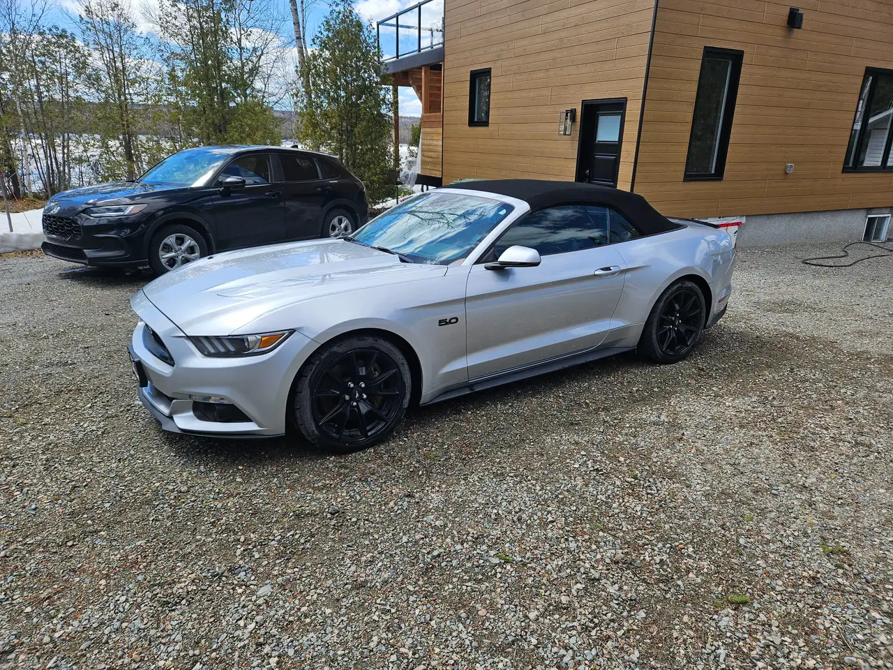 Ford Mustang fotografie Ford Mustang