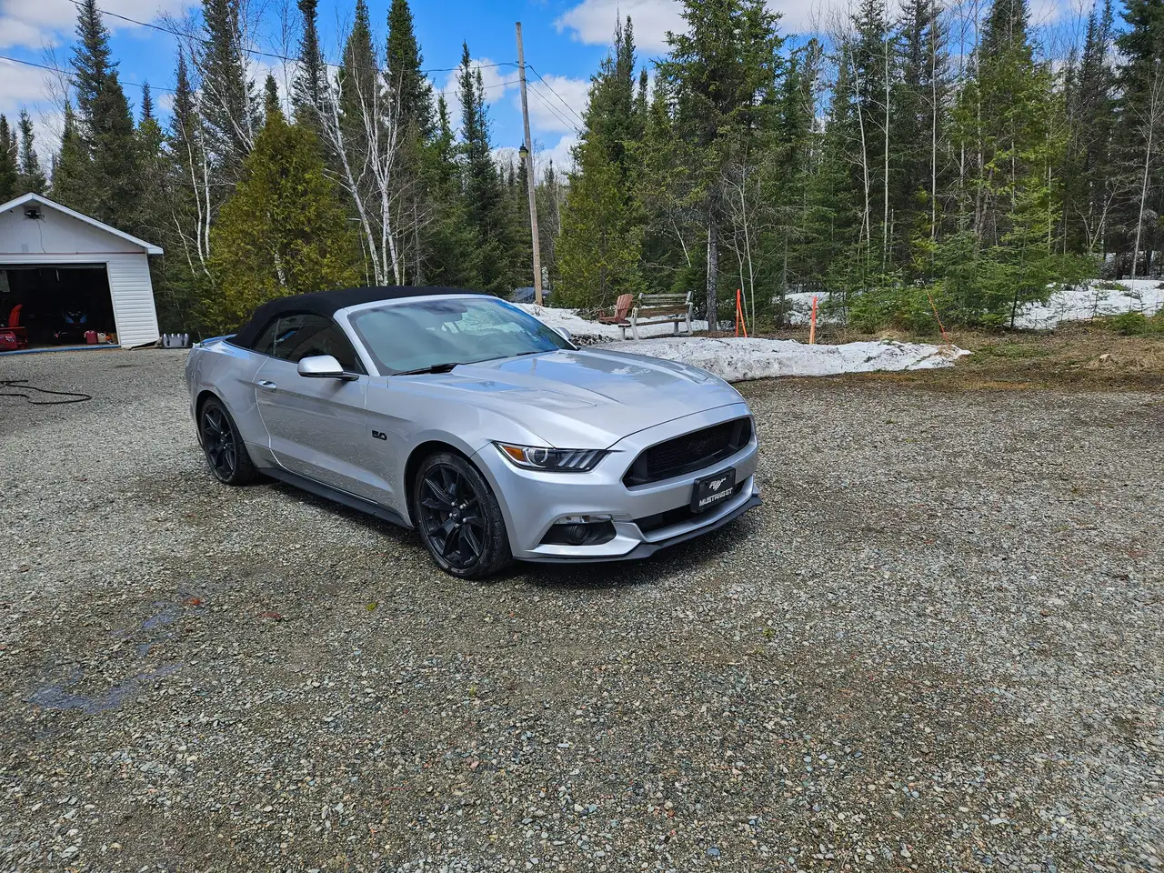 Ford Mustang fotografie Ford Mustang