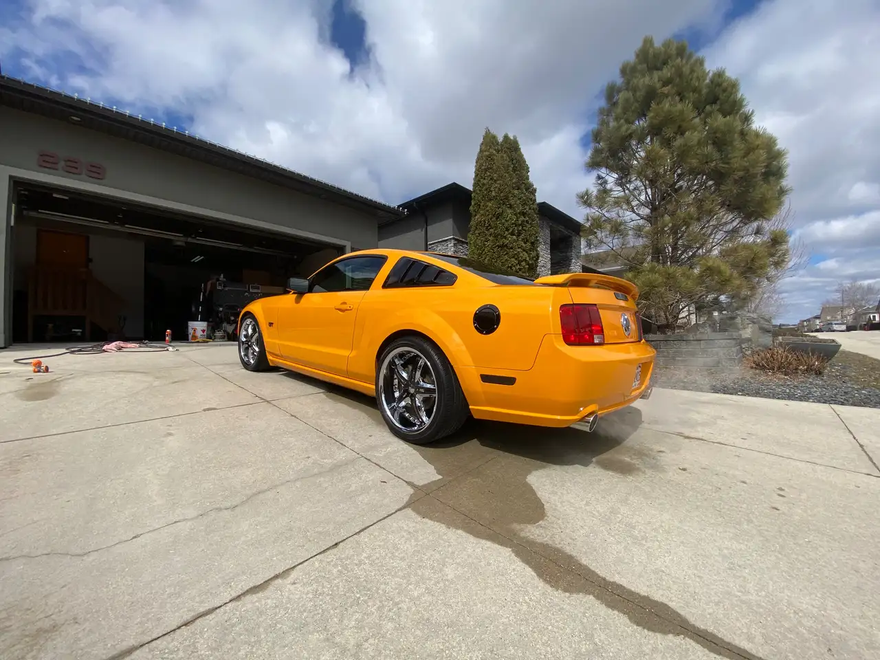 Ford Mustang photo Ford Mustang
