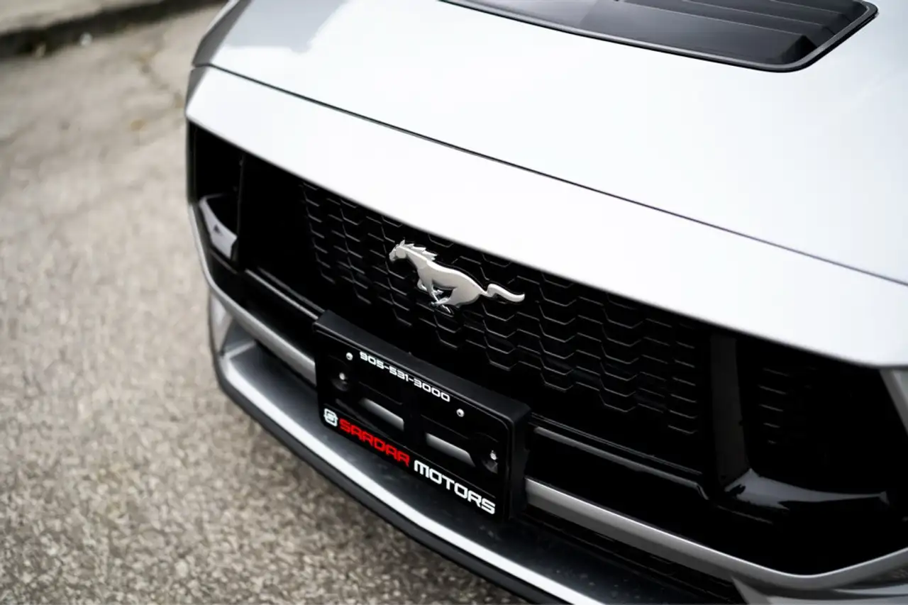 Ford Mustang fotografie Ford Mustang