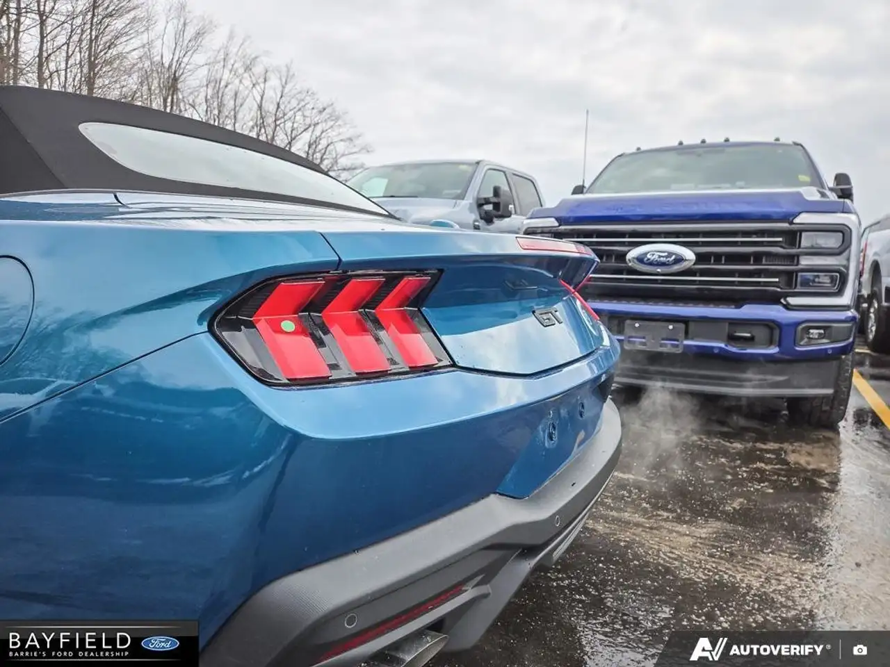 Ford Mustang photo Ford Mustang