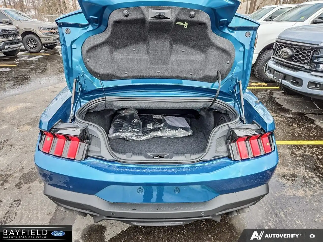 Ford Mustang photo Ford Mustang