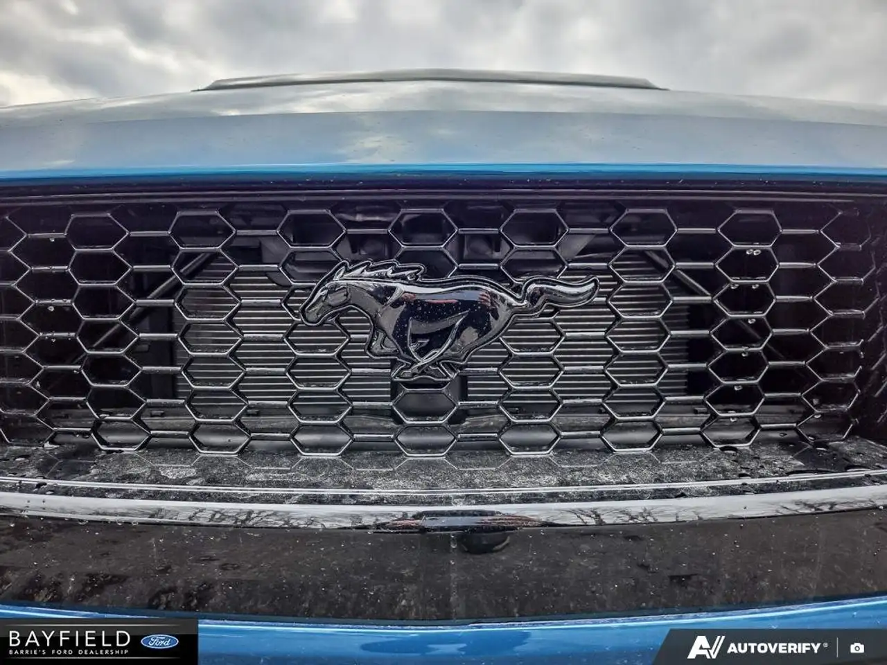Ford Mustang photo Ford Mustang