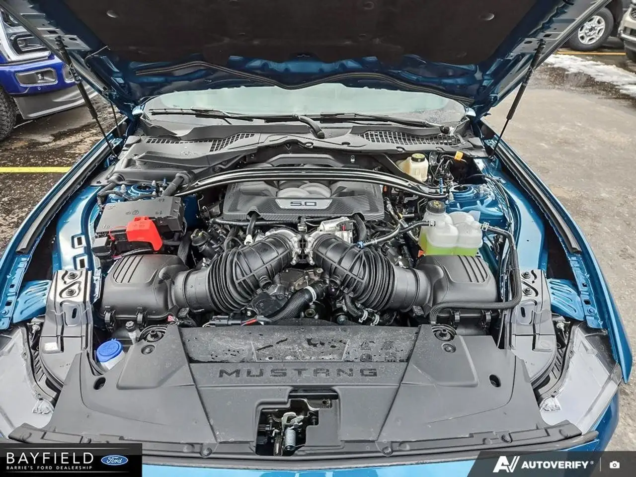 Ford Mustang photo Ford Mustang