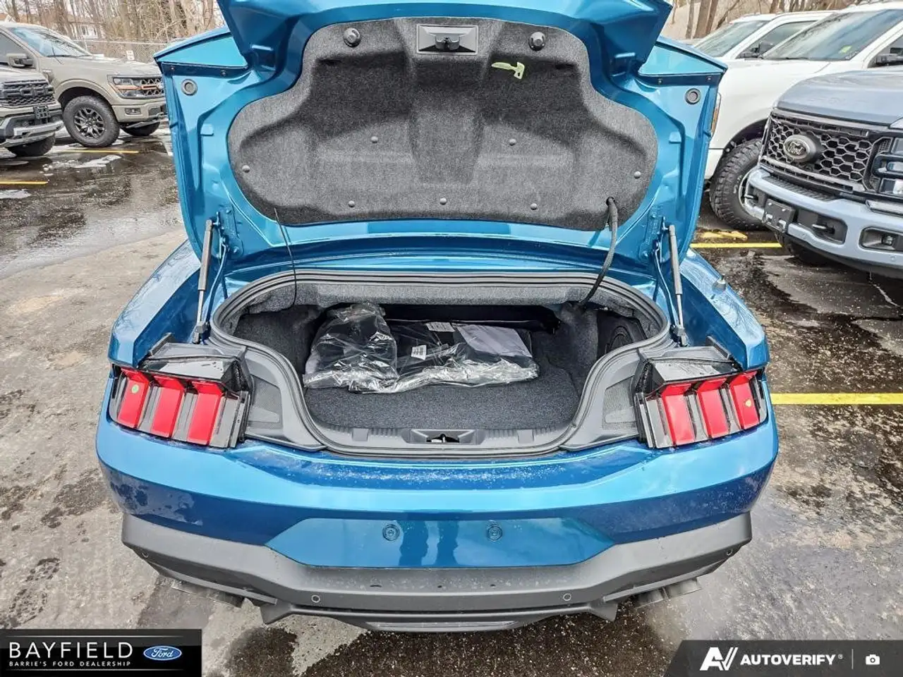 Ford Mustang photo Ford Mustang