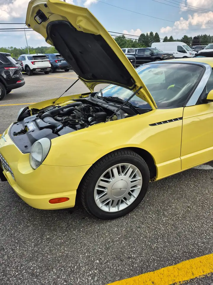 Ford Thunderbird photo Ford Thunderbird