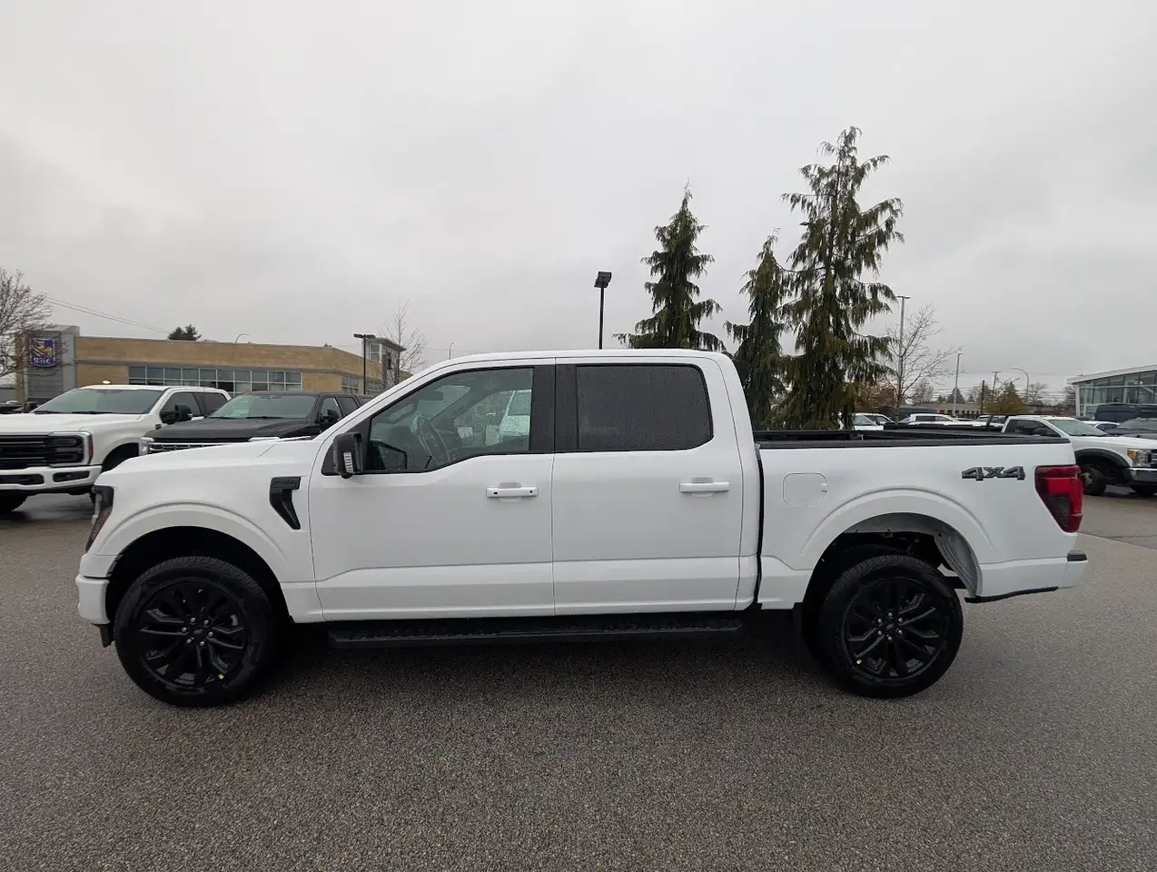 Ford F 150 fotografie Ford F 150