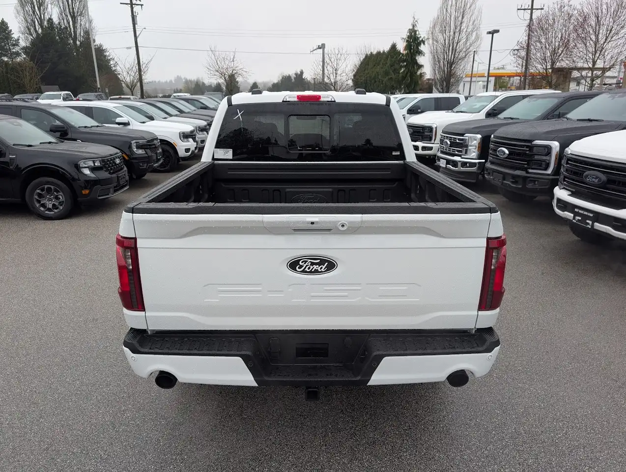 Ford F 150 fotografie Ford F 150