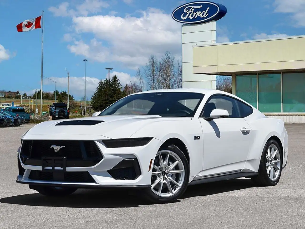 Ford Mustang fotografie Ford Mustang