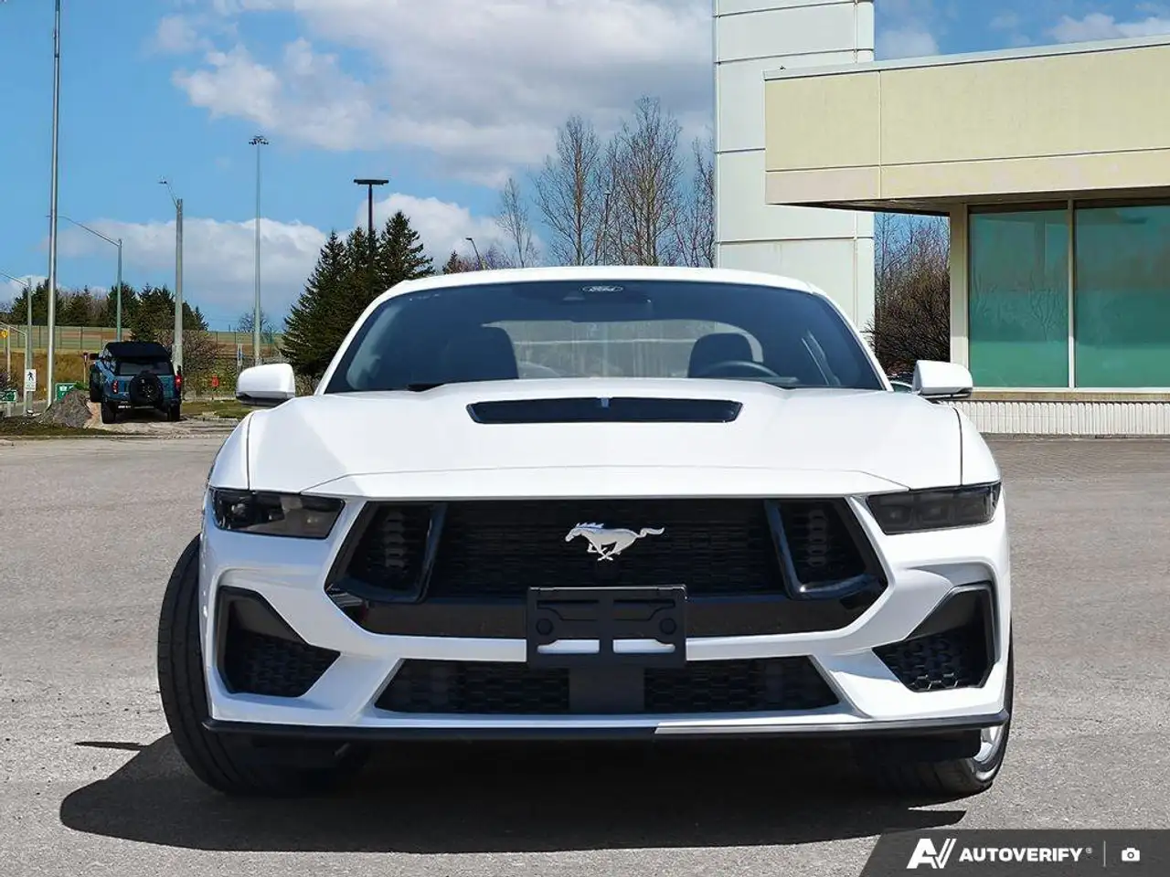 Ford Mustang fotografie Ford Mustang