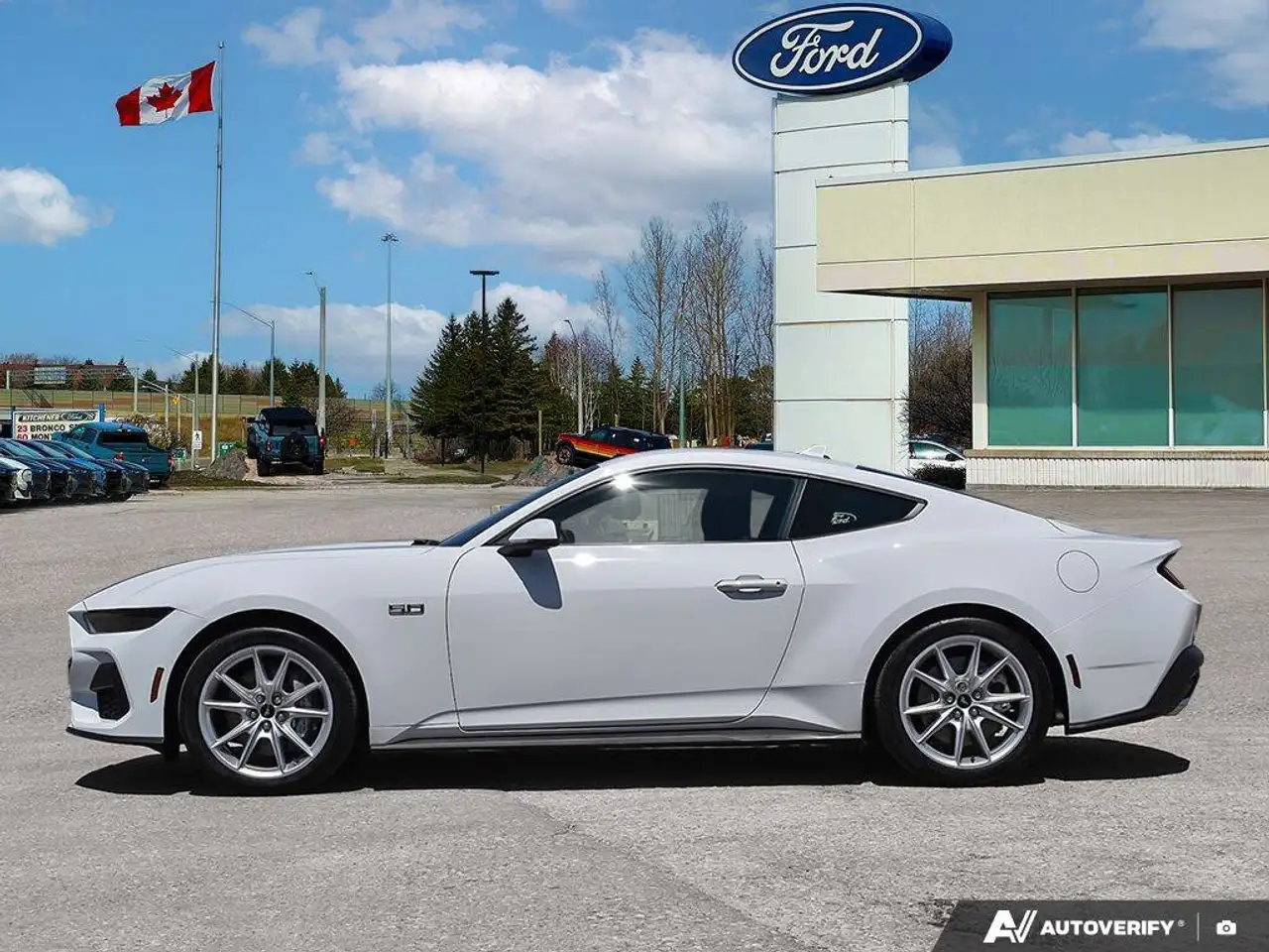 Ford Mustang fotografie Ford Mustang