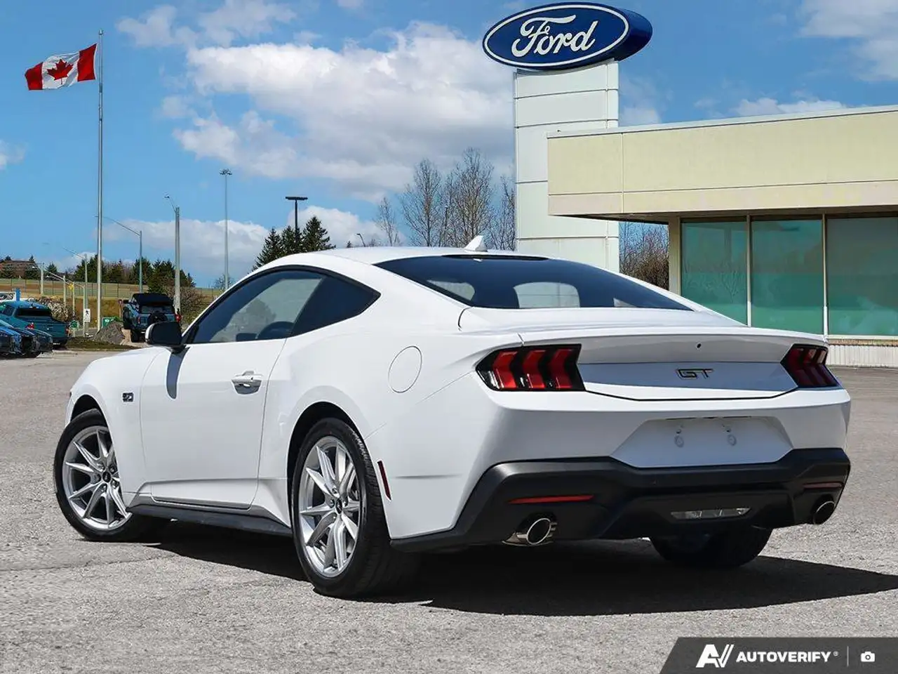 Ford Mustang fotografie Ford Mustang