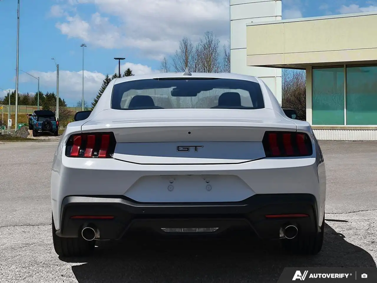 Ford Mustang fotografie Ford Mustang