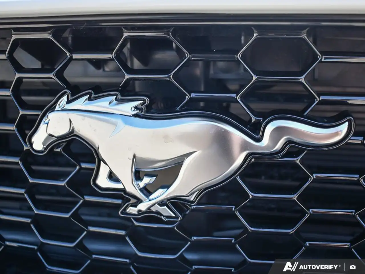 Ford Mustang fotografie Ford Mustang
