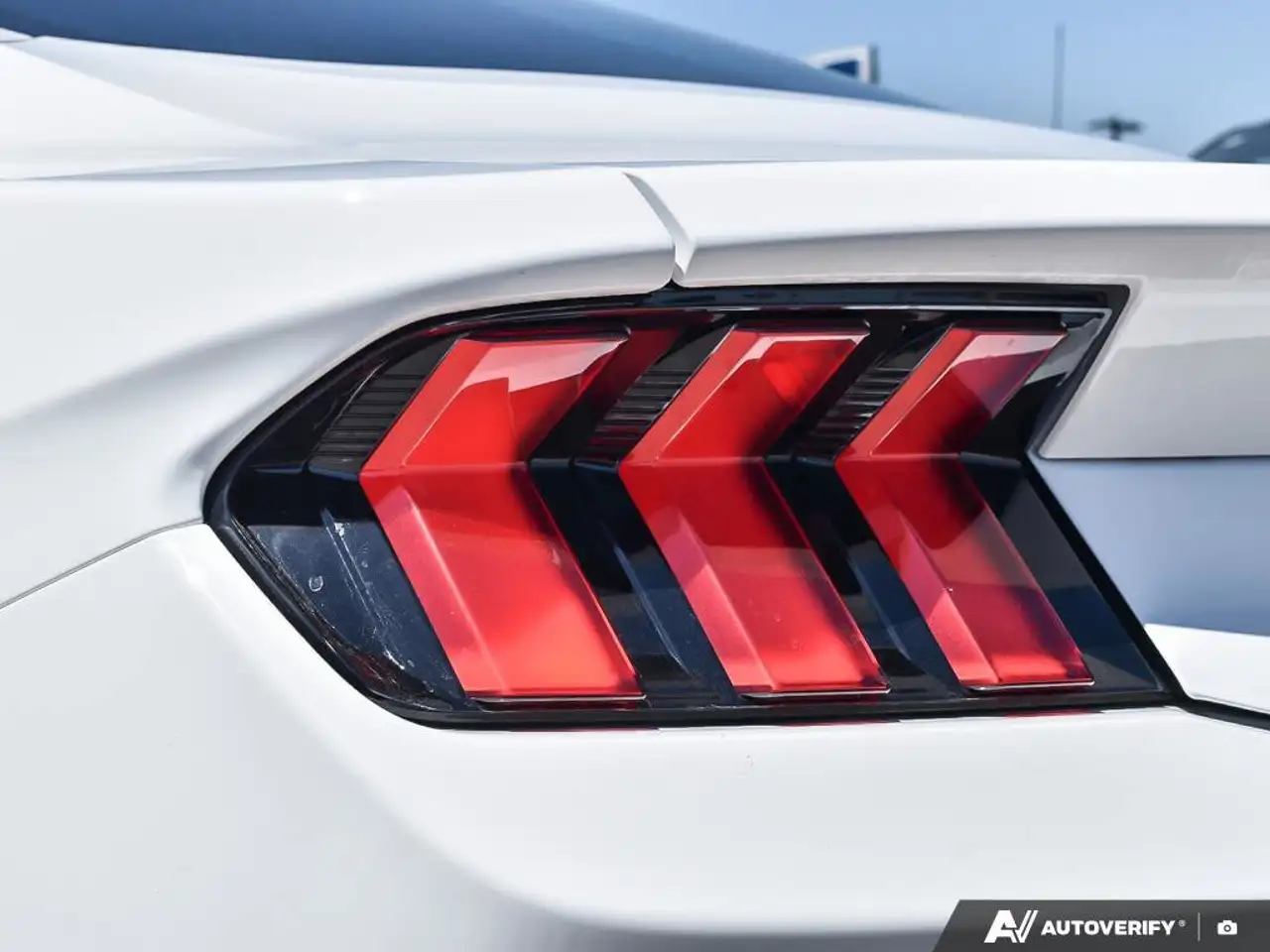 Ford Mustang fotografie Ford Mustang