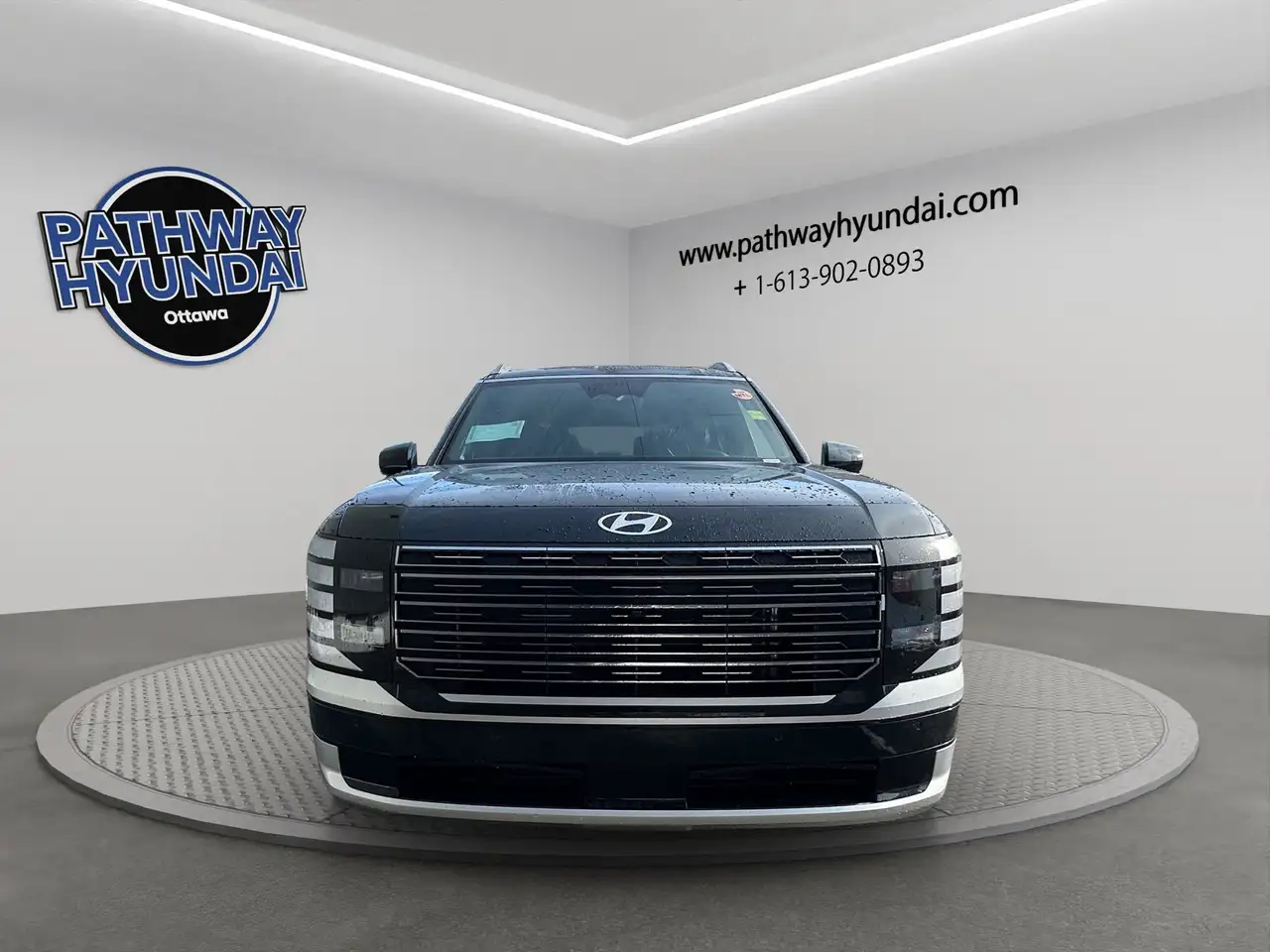 Hyundai PALISADE fotografie Hyundai PALISADE