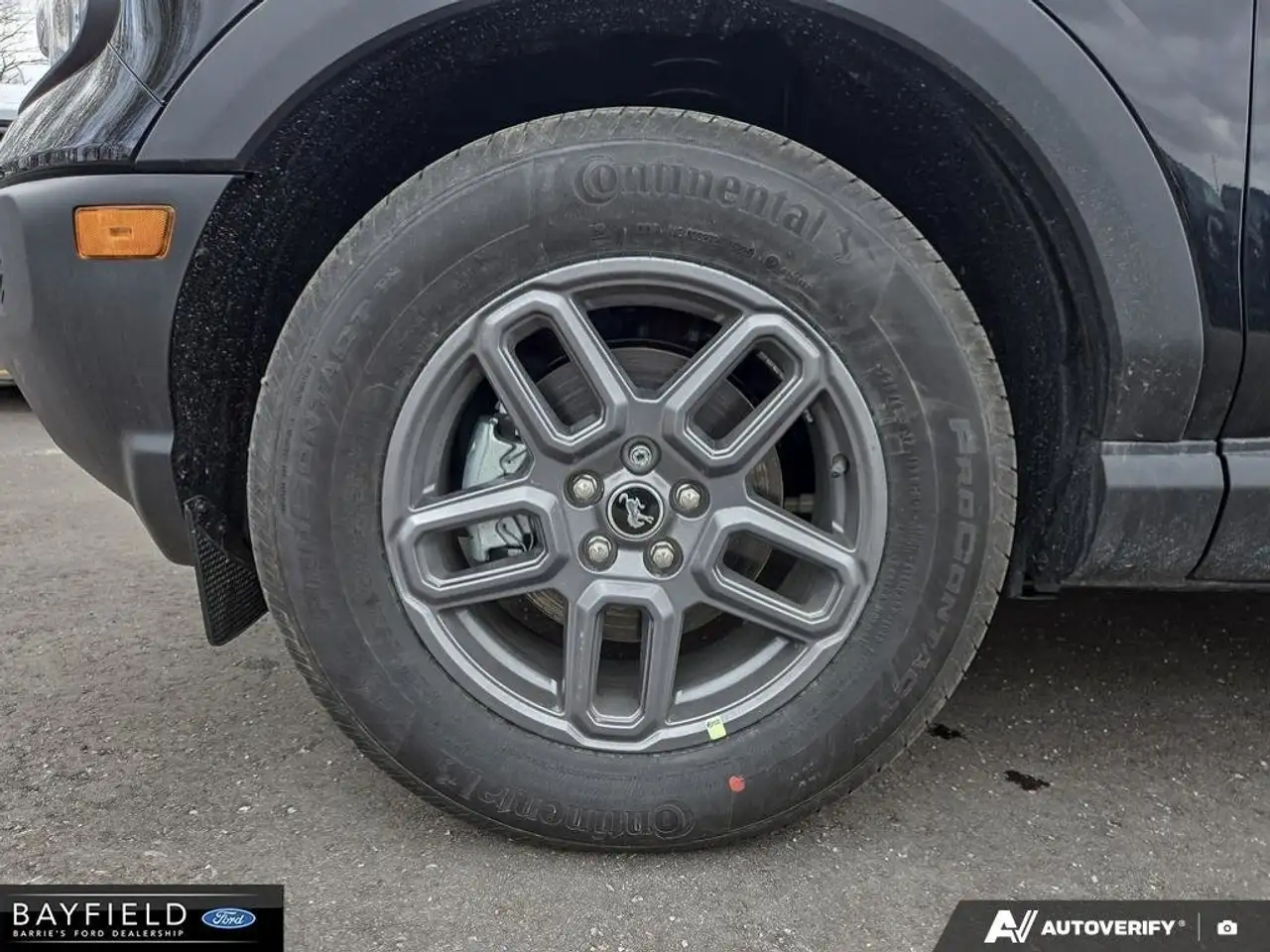 Ford Bronco Sport снимка Ford Bronco Sport