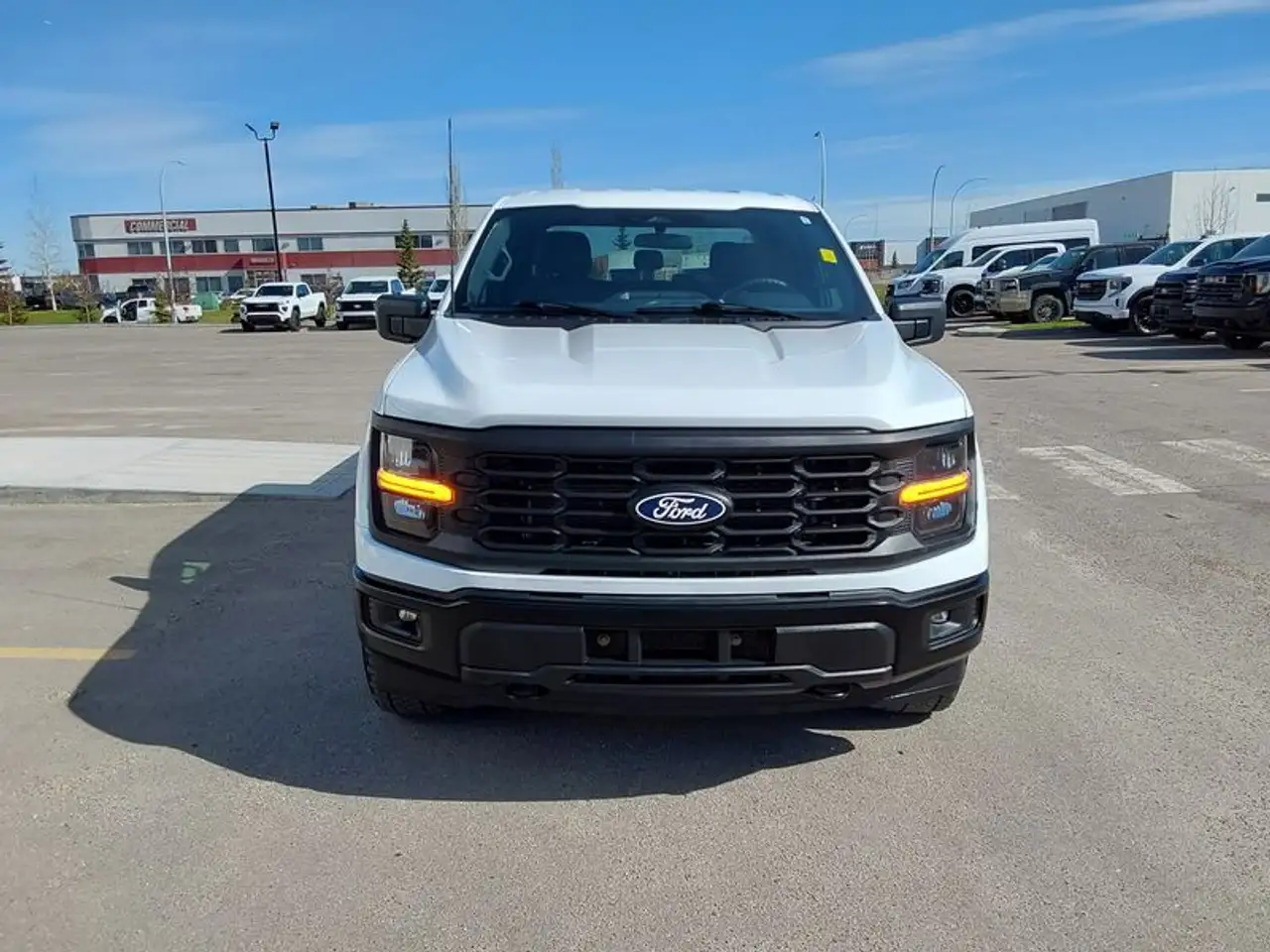 Ford F 150 снимка Ford F 150