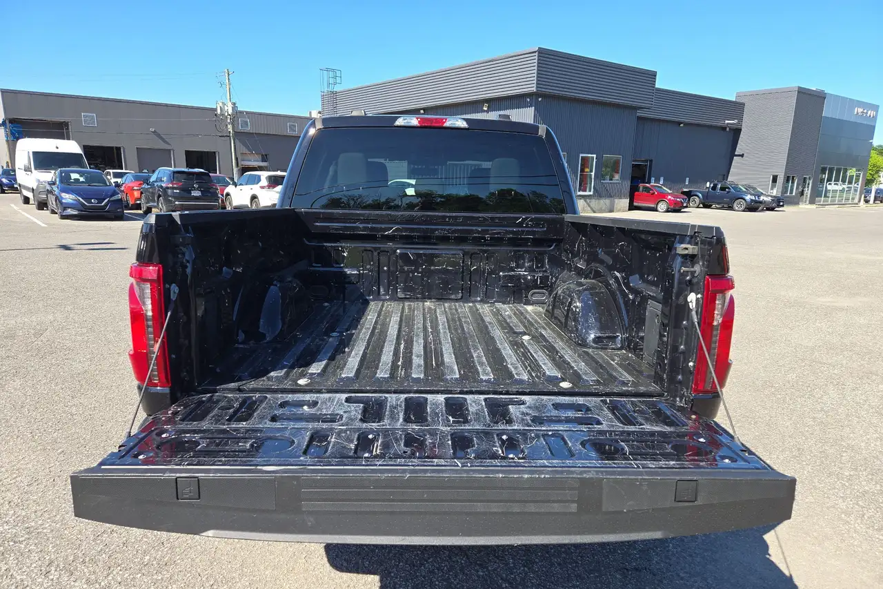 Ford F 150 fotografie Ford F 150
