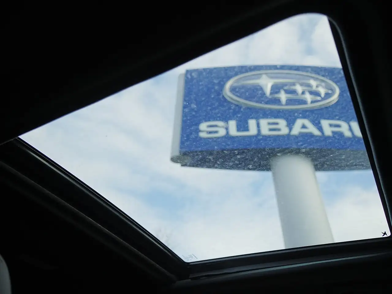 Subaru Forester fotografie Subaru Forester