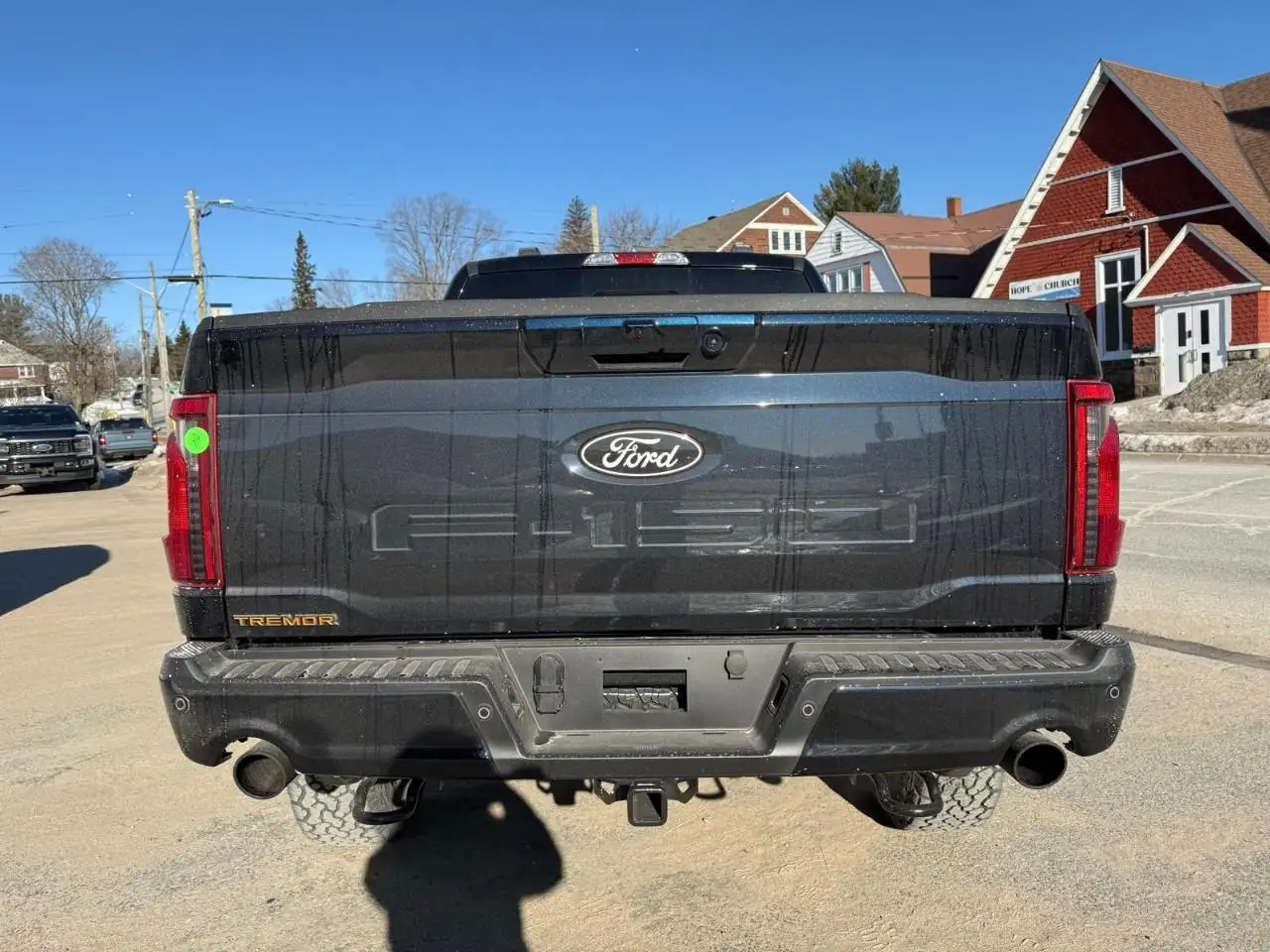 Ford F 150 снимка Ford F 150