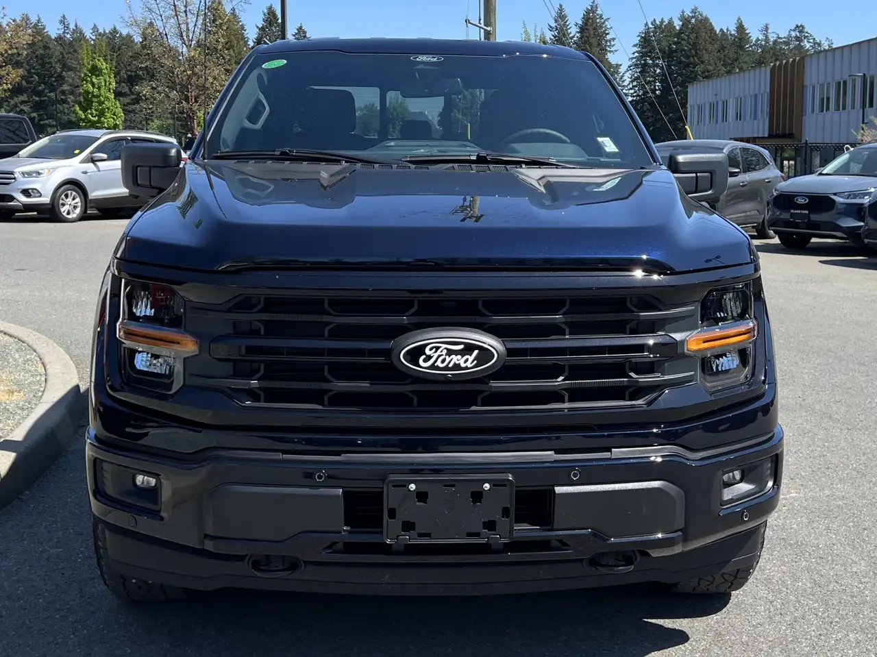 Ford F 150 снимка Ford F 150