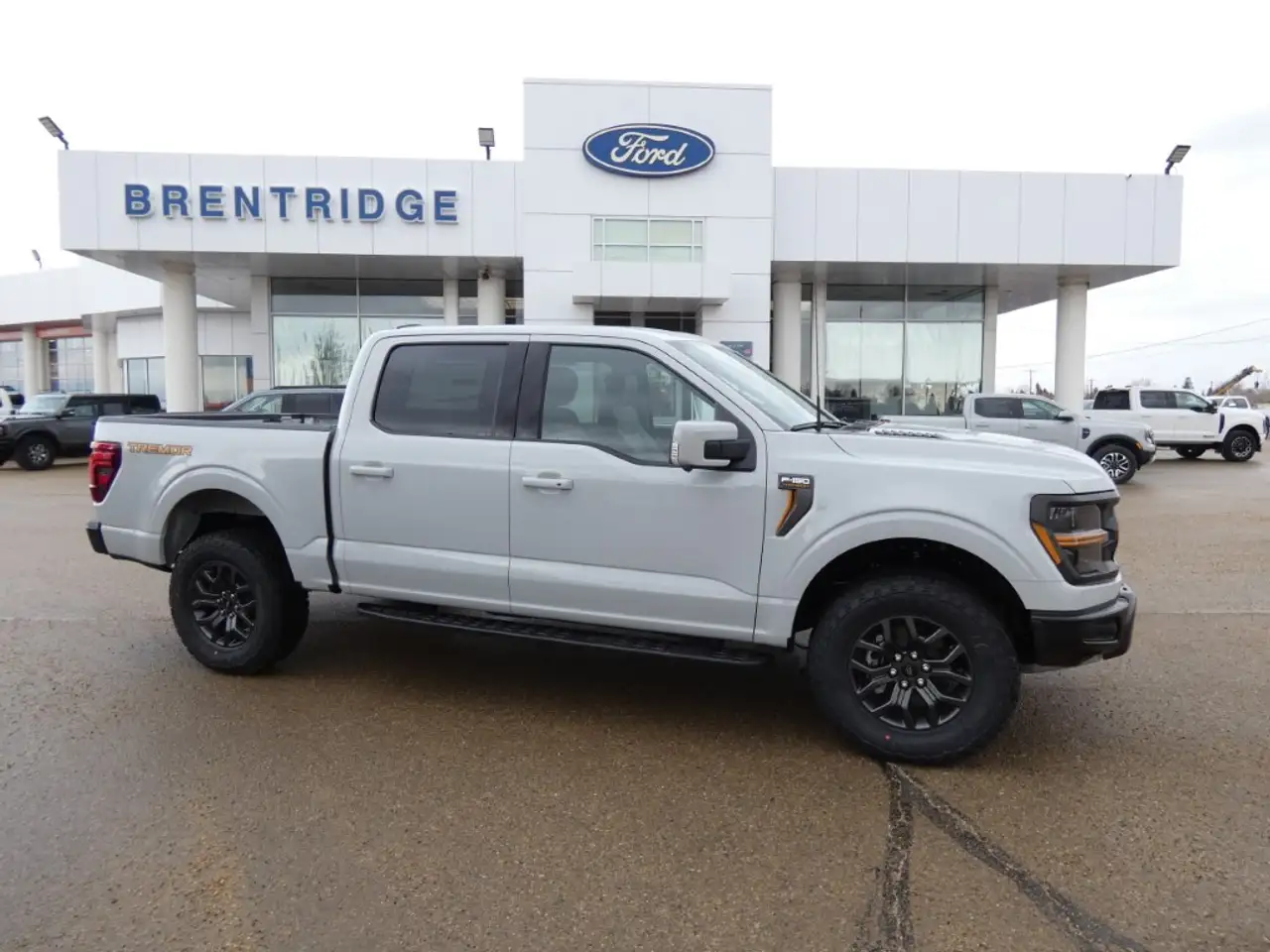 Ford F 150 fotografie Ford F 150